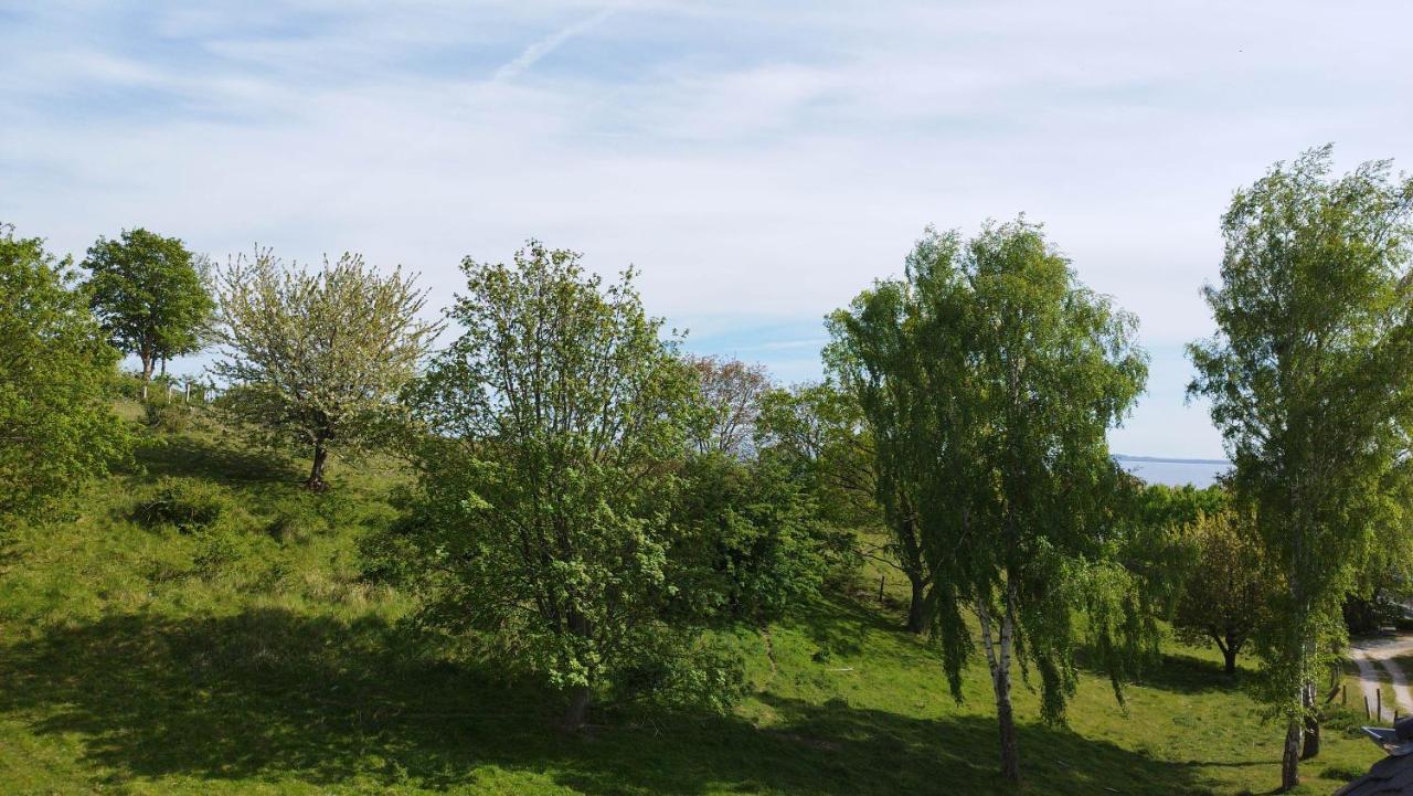Traumblick Und Komfort - Lichtdurchflutete 85 Qm Wohnung Nahe Suedstrand Goehren Inklusive Schwimmbad Und Sauna Im Ahoi Sellin Exterior foto